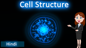 Cell structure